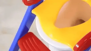 Kids Toilet Training Ladder Seat