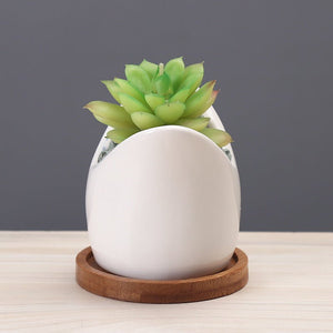 Artificial Decorative Plant for Home & Office