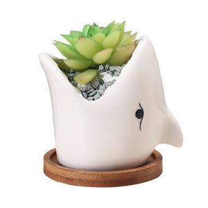 Artificial Decorative Plant for Home & Office